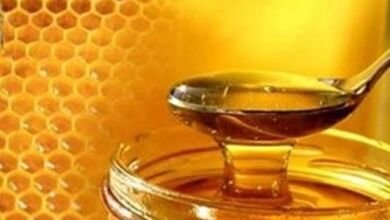 ما فوائد العسل للمناعة
